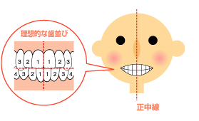 歯並びを自己診断してみよう 大阪矯正歯科グループ